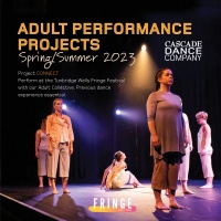 Adult Performance Projects